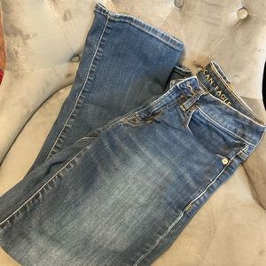 American Eagle Jeans Straight Leg Size 2